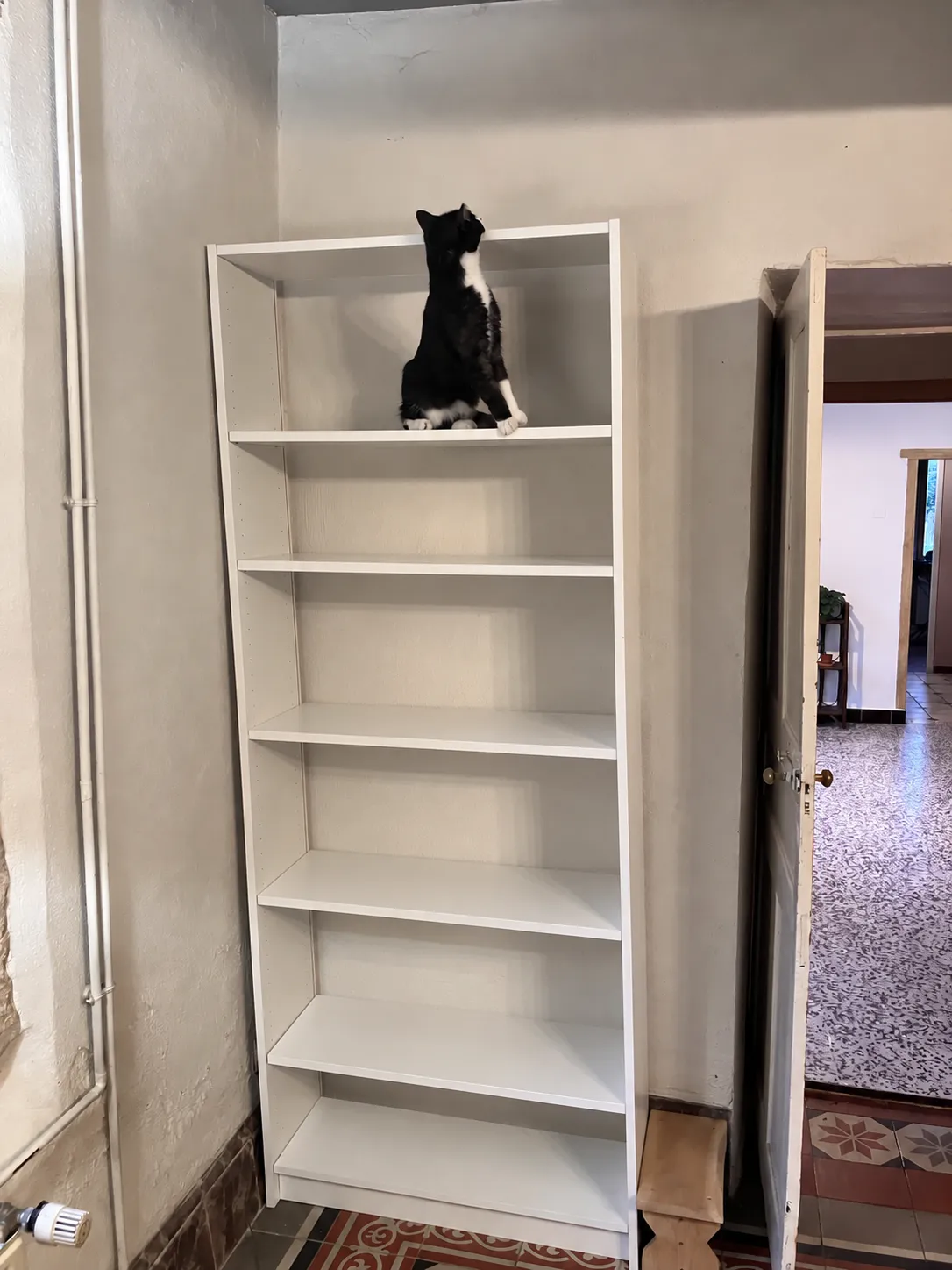 A battered white IKEA BILLY bookcase after two house moves, with a black-and-white cat sitting on an upper shelf.